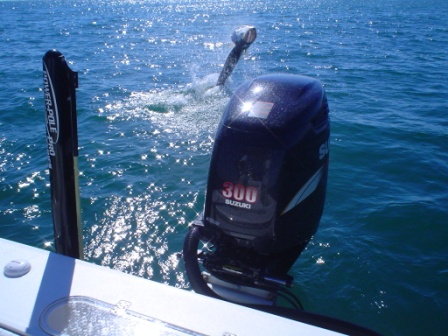 Tarpon Fishing October 2010 in Boca Grande Pass