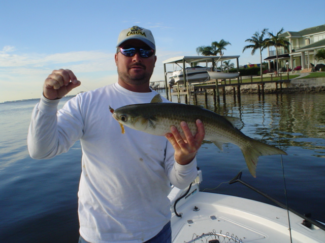 Mullet caught on a lure