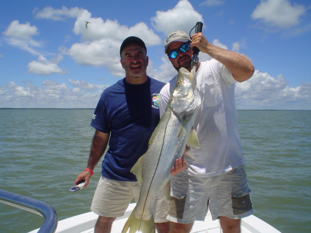 awsome snook fishing in Southwest Florida