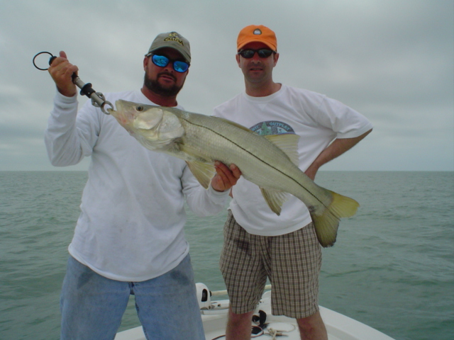 Let's go snook fishing in Florida, Marco island snook fishing guides