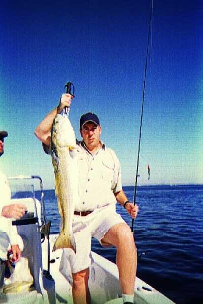 Bull Redfish near Pine Island in Charlotte Harbor