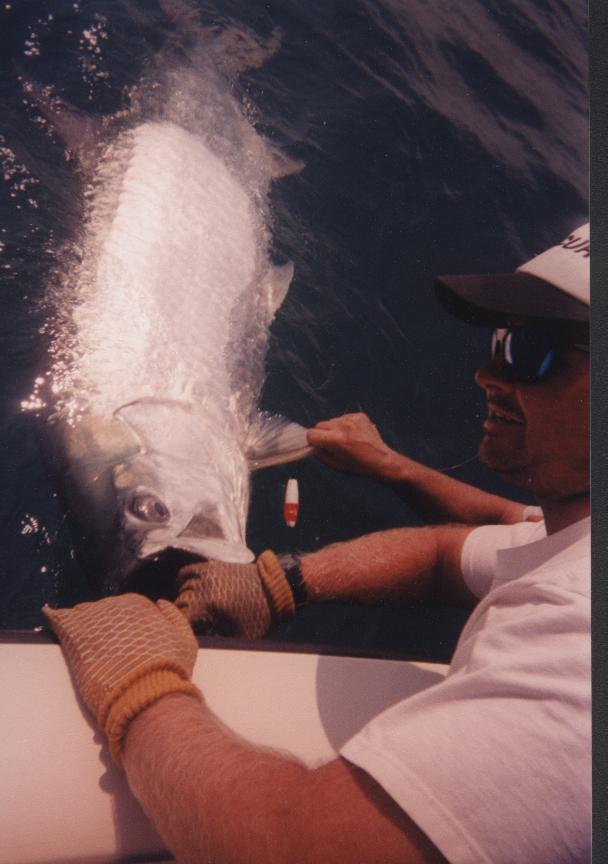 Tarpon fishing in Southwest Florida