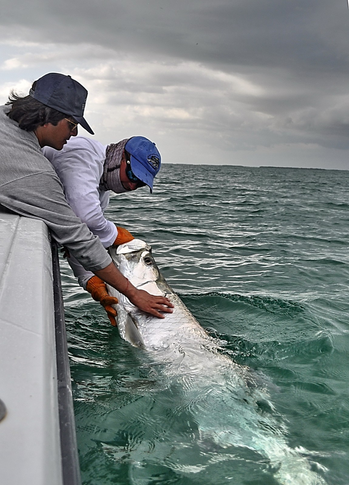 Tarpon Fishing, tarpon release 2009, Charlotte Harbor