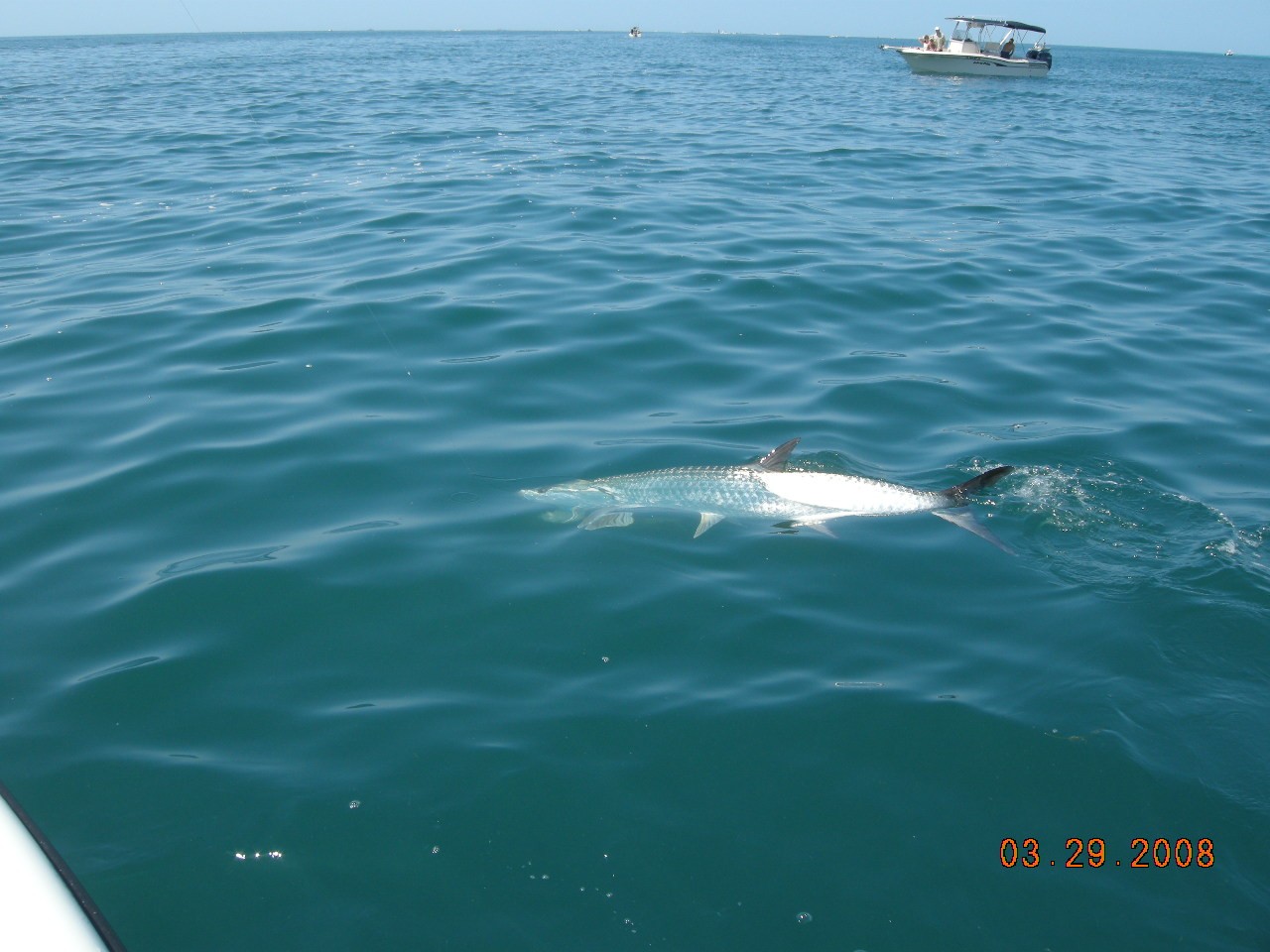 Boca Grande Pass tarpon fishing charter