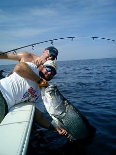 Experience some of the best tarpon fishing that Florida has to offer