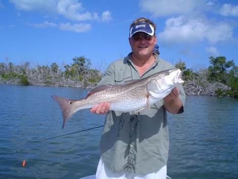 Fishing for redfish and snook with live bait along the mangrove shorelines.