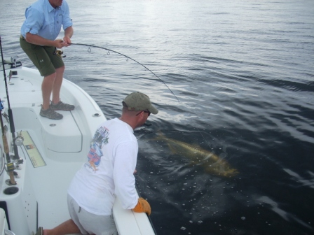 Tarpon fishing in Charlotte Harbor near Punta Gorda