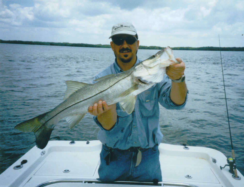 Snook fishing near Port Charlotte and Punta Gorda