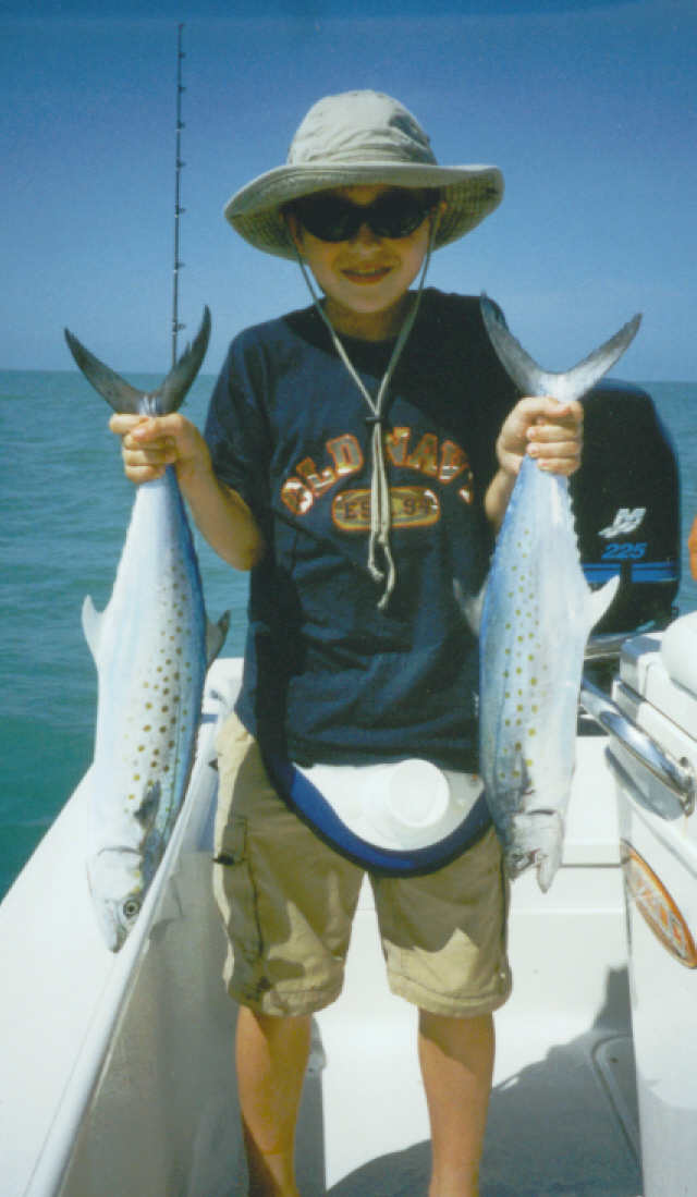 Spanish mackerel in Charlotte Harbor