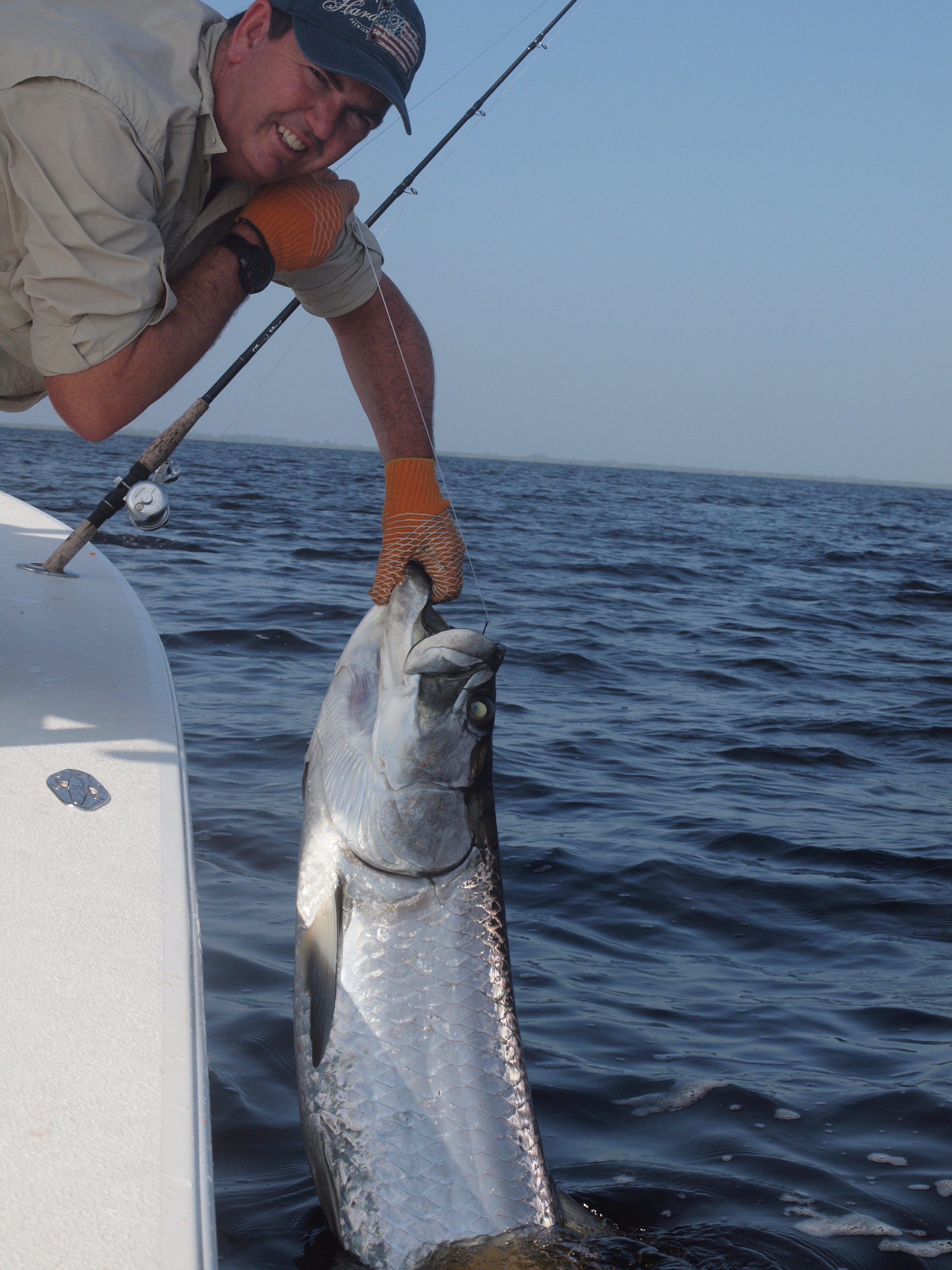 Tarpon fishing during the fall tarpon run near Punta Gorda, Florida