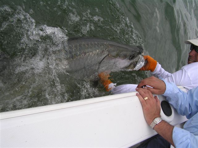 Boca Grande Tarpon Fishing