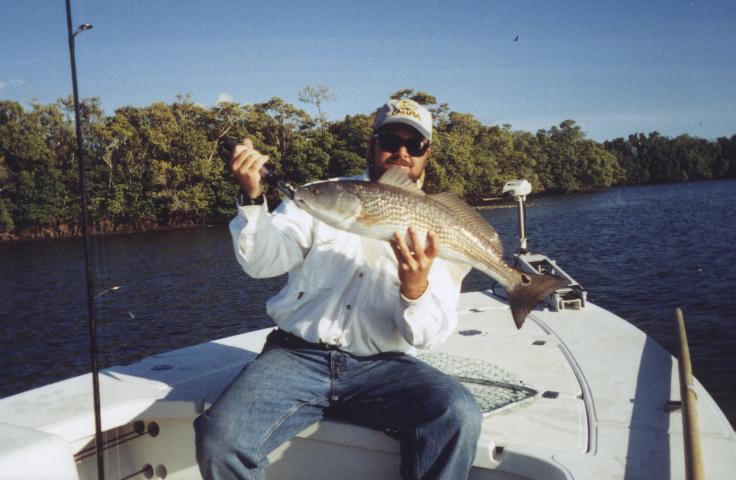 Punta Gorda backcountry fishing for redfish