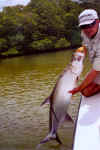 flyfishing tarpon