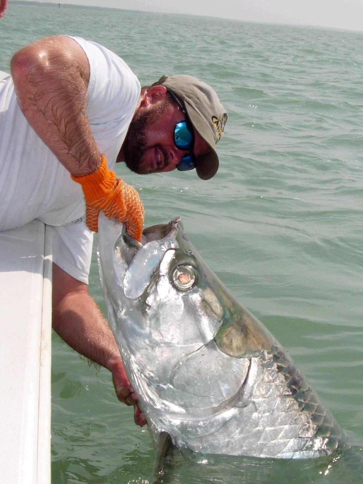 Giant Tarpon fishing