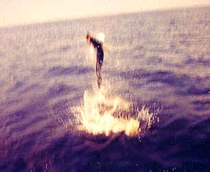 Pine Island tarpon jump