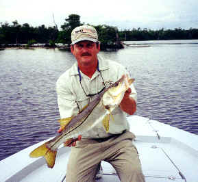 Broad River Snook from the 10,000 Islands