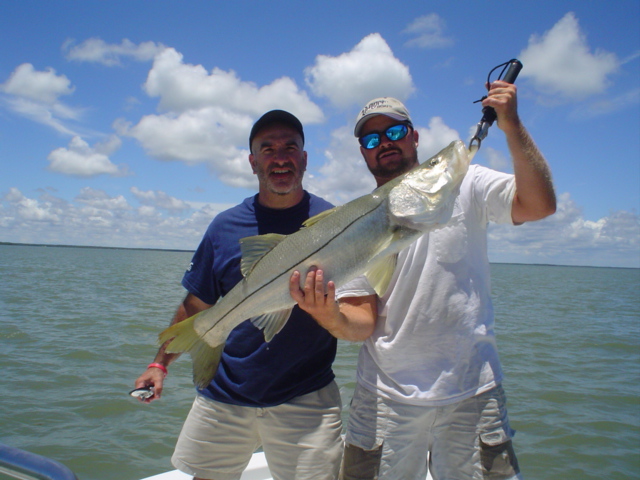 Snook fishing Charlotte Harbor, Florida snook fishing charters