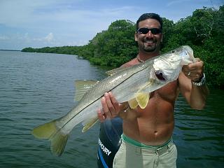 Pine Island Snook Fishing