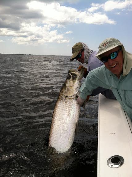 Guided tarpon fishing charters in Florida