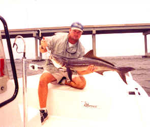 Cobia fishing near Punta Gorda in Charlotte Harbor