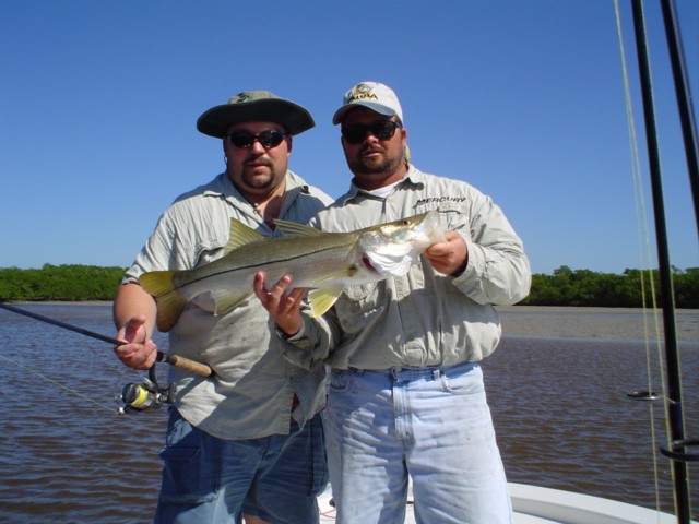 Snook fishing the potholes during a very low tide in winter