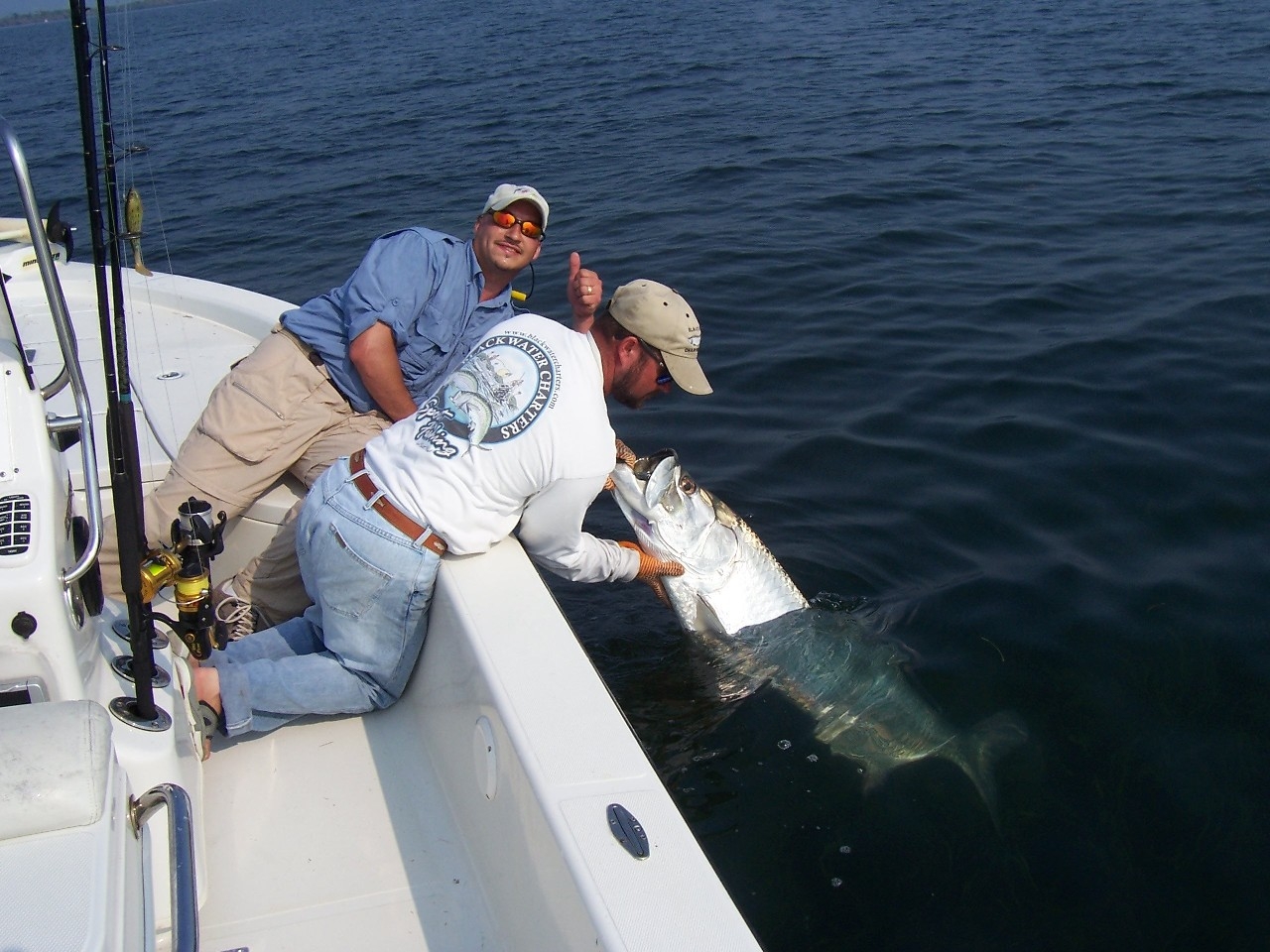 Charlotte Harbor Tarpon