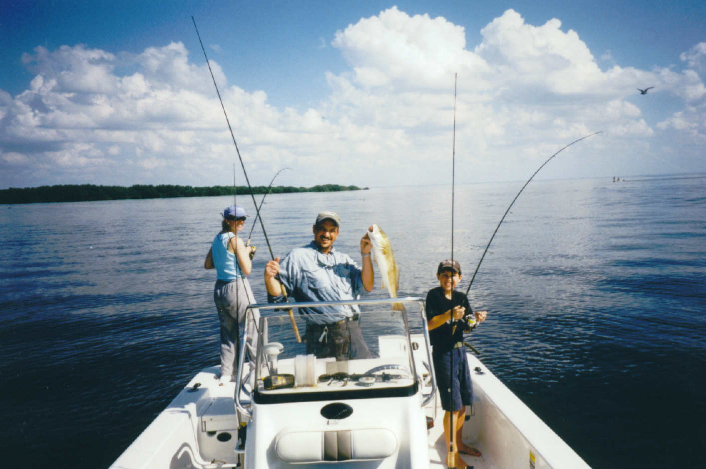 Triple hook-up on bull redfish in Charlotte Harbor