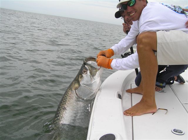 tarpon charters