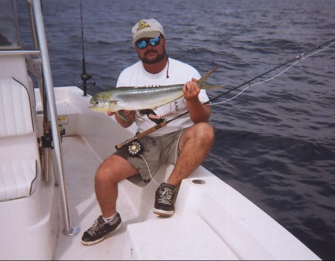 Mahi on fly