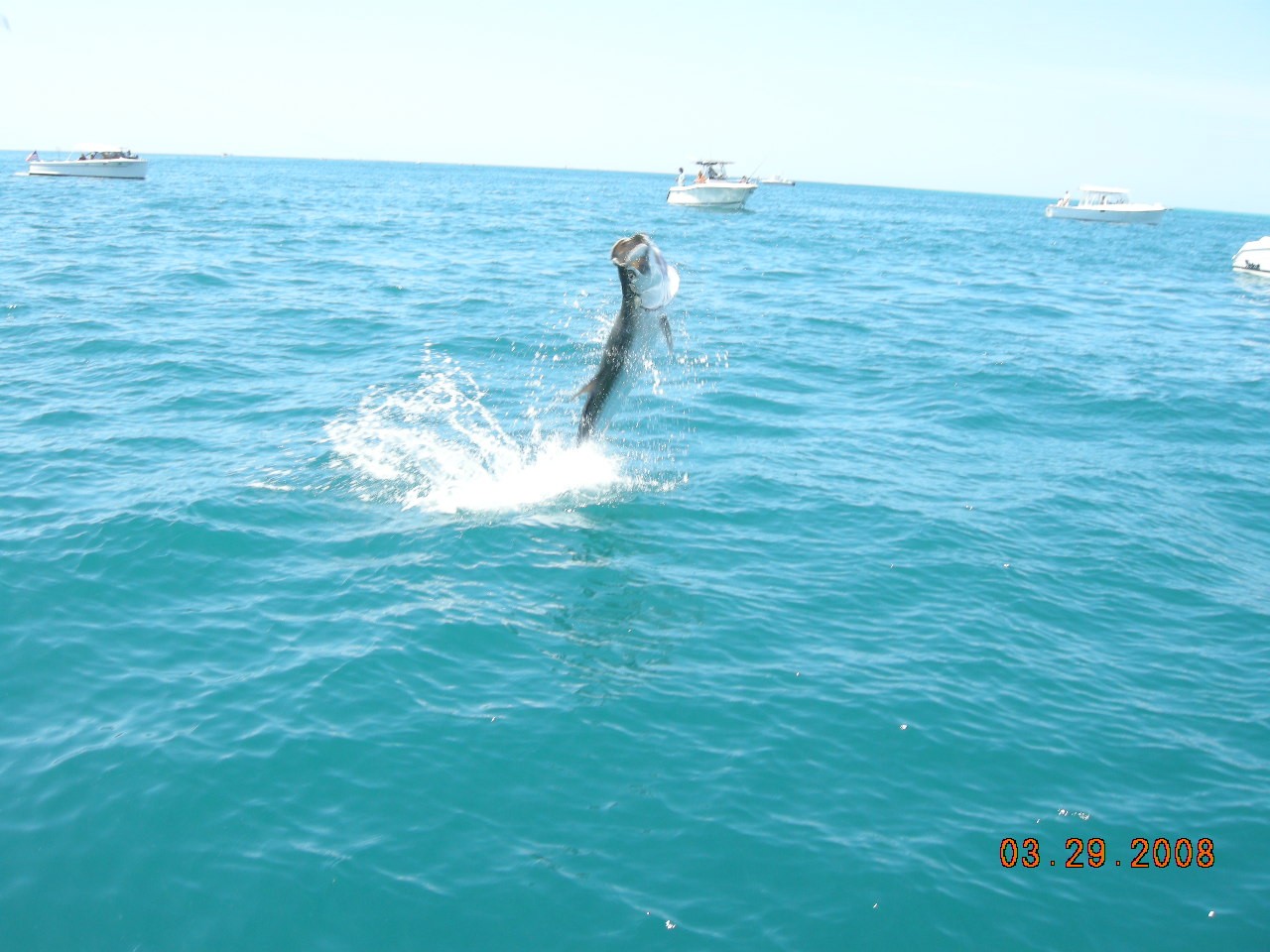 Boca Grande Pass tarpon fishing