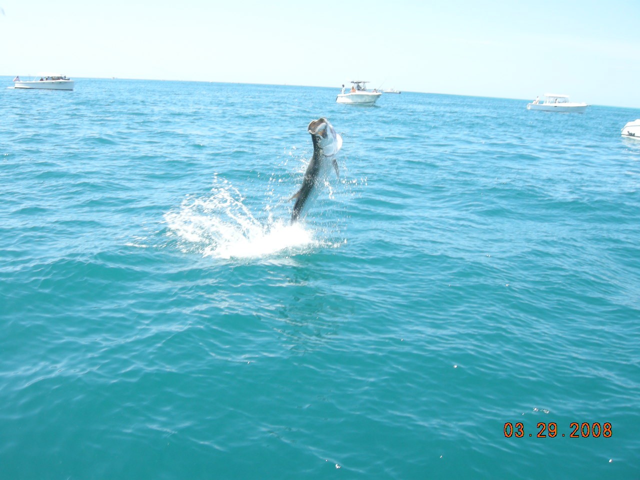 Boca Grande Pass tarpon fishing