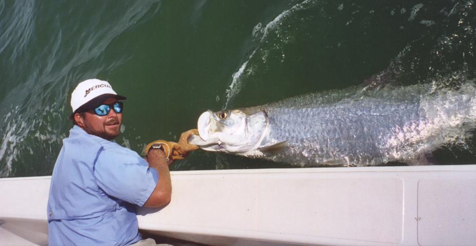 Punta Gorda Tarpon fishing in Charlotte Harbor