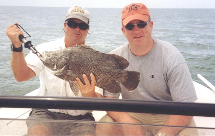 tripletail fishing Marco Island