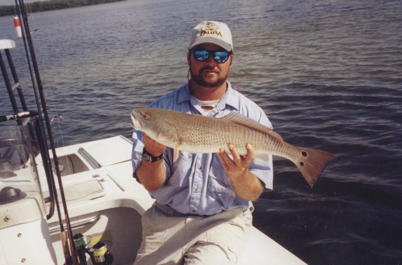 redfish charter in Pine Island Sound