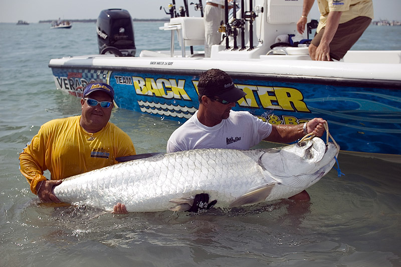 Great Tarpon Fishing