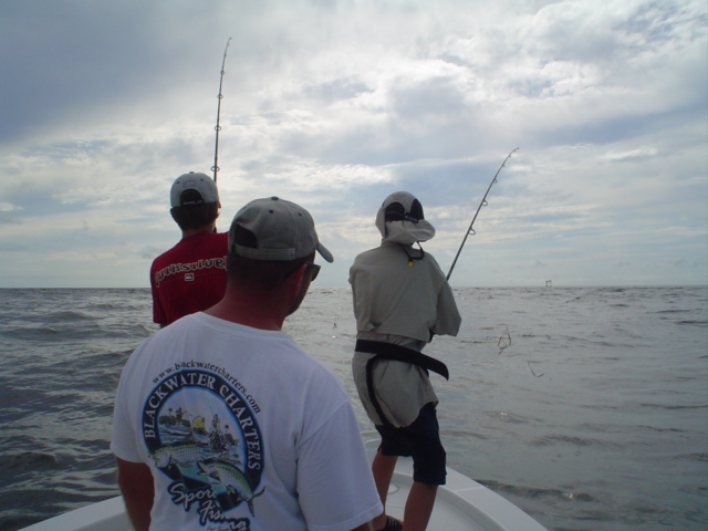 tarpon guides