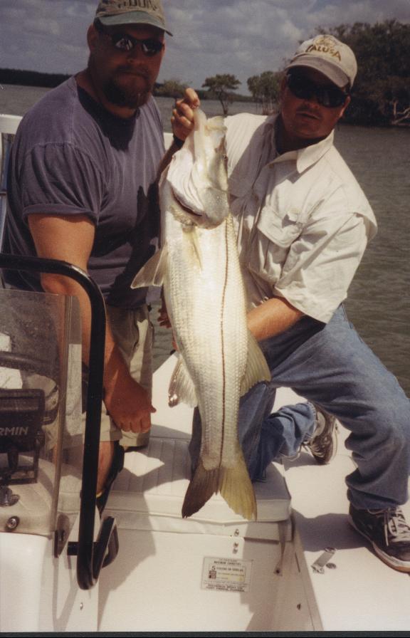 flats fishing for snook