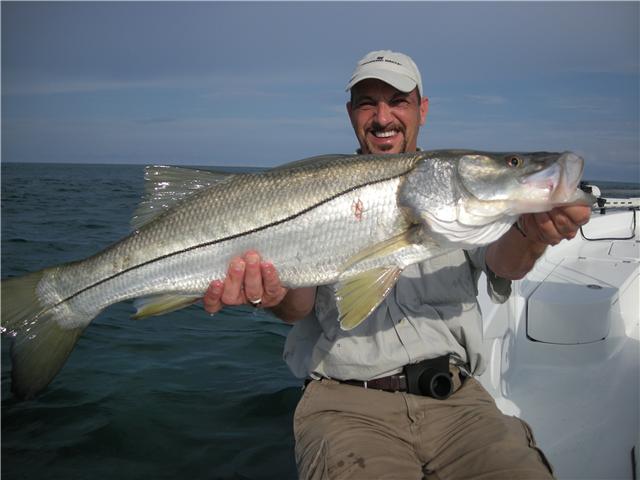 Trophy snook fishing