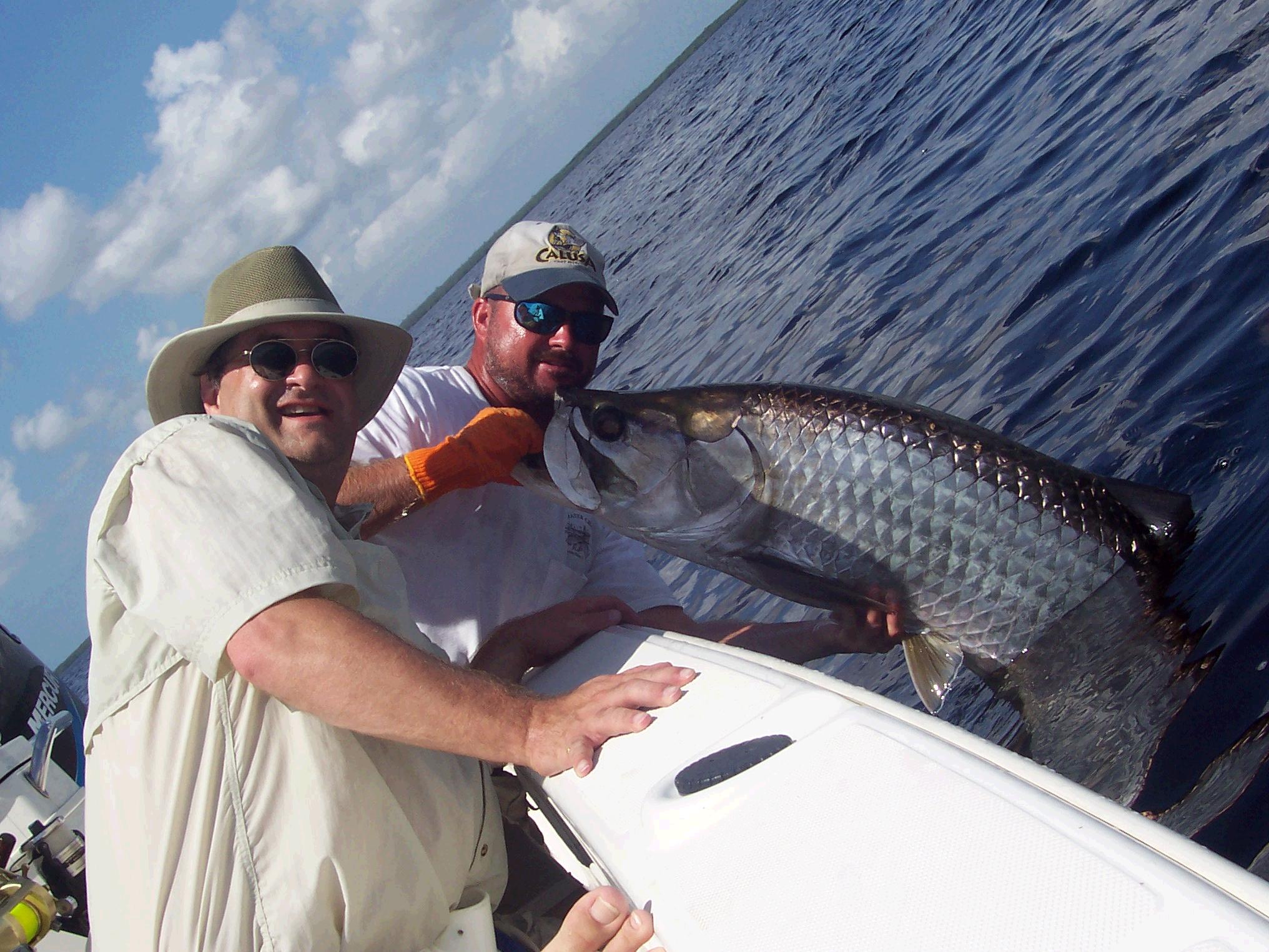 Tarpon Fishing Punta Gorda