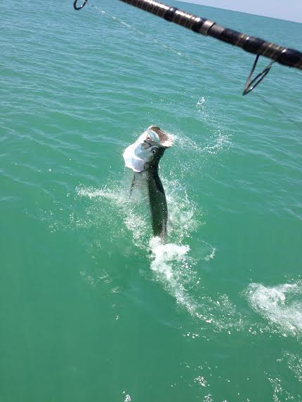 Boca Grande tarpon fishing charters