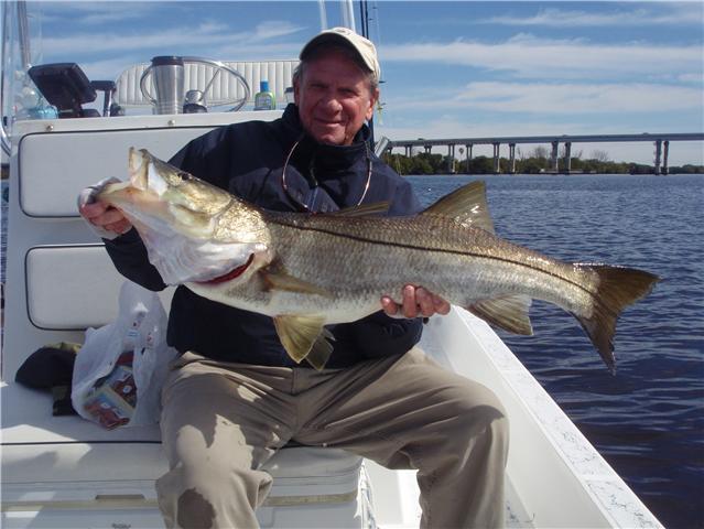 30lb snook